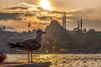 Turkey Yacht Charter and Boat rental